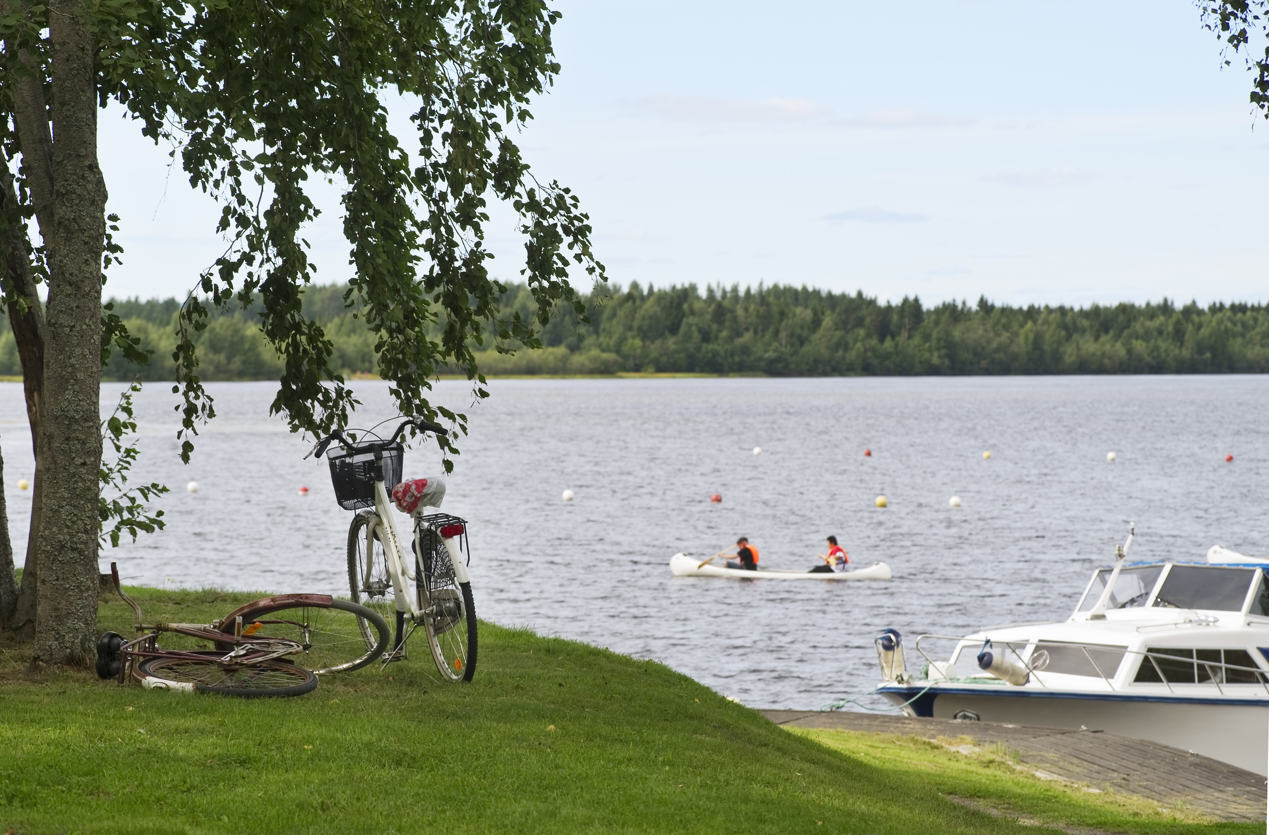 Naturen utanför.